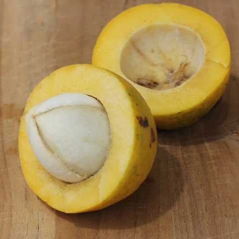 Bacuri (Platonia insignis)